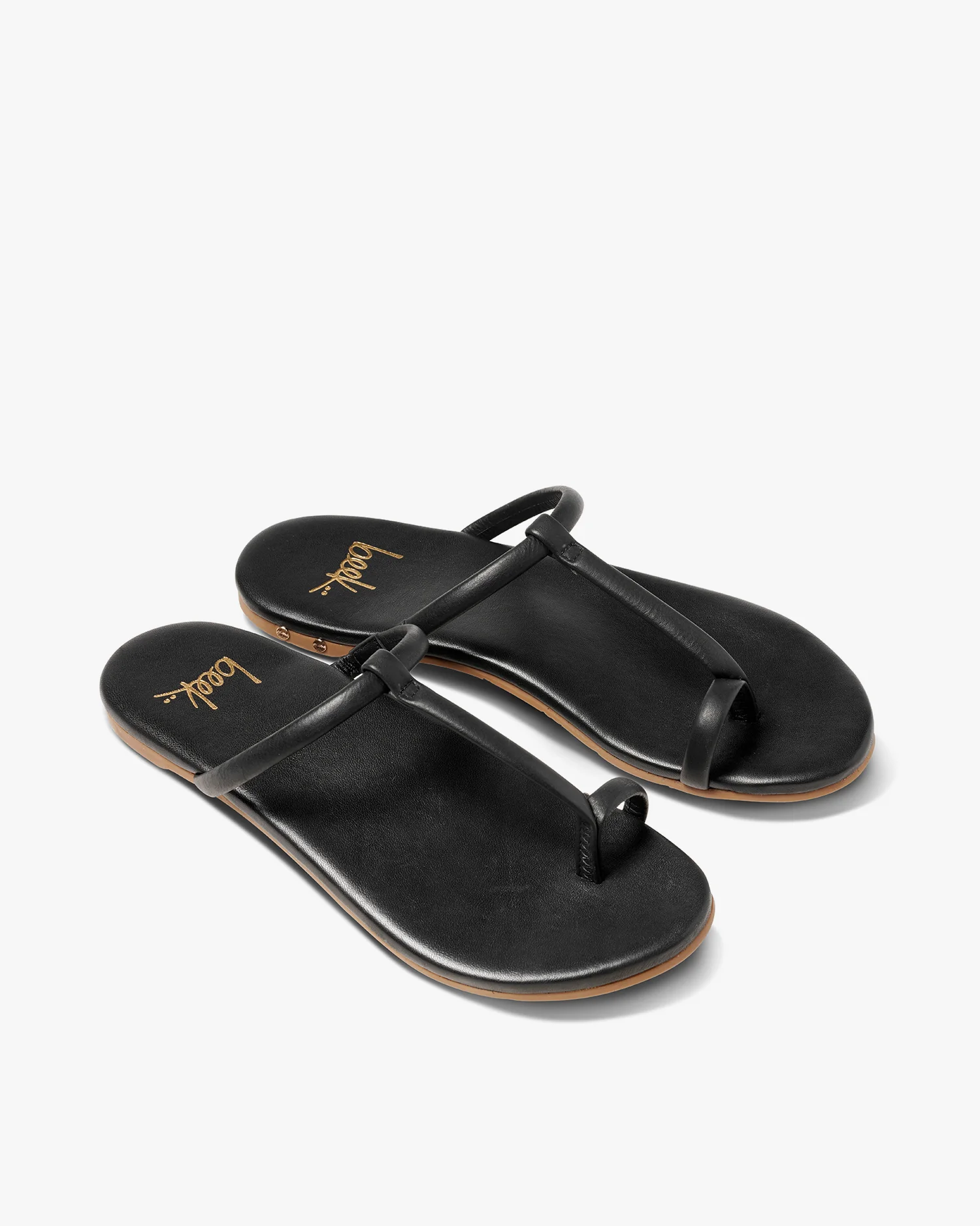 Bright Black - Trending Now
