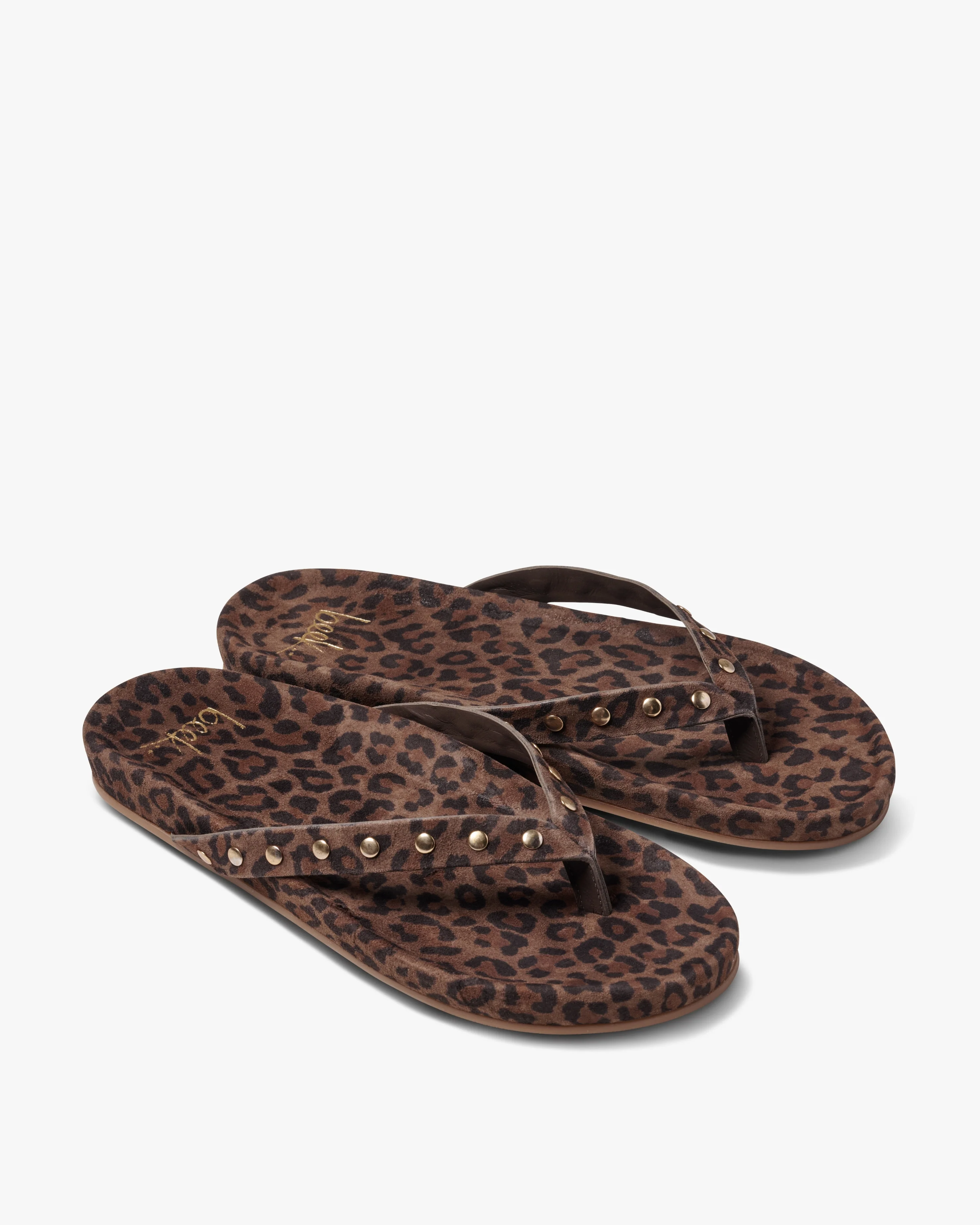 TRINGA - Leopard